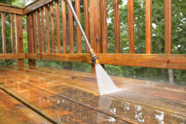 Best Local Pressure Washing Services  in Parks, AZ
