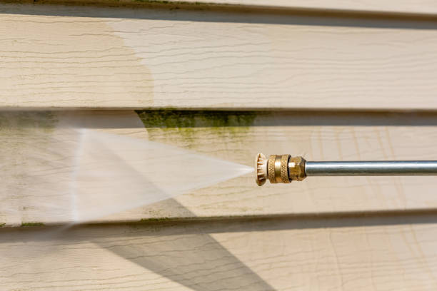 Best Roof Power Washing Services  in Parks, AZ